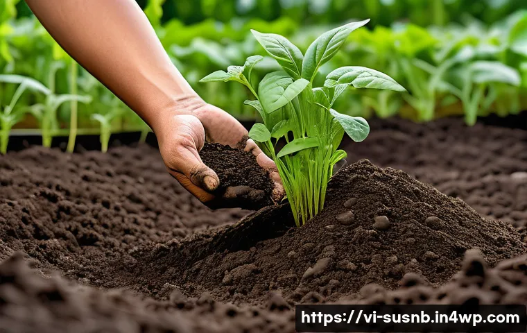 7 bí quyết hữu cơ giúp cây trồng phát triển mạnh mẽ và bền vững tại nhà bạn 3 식물 생장 촉진을 위한 유기농 방법 관련 이미지 1